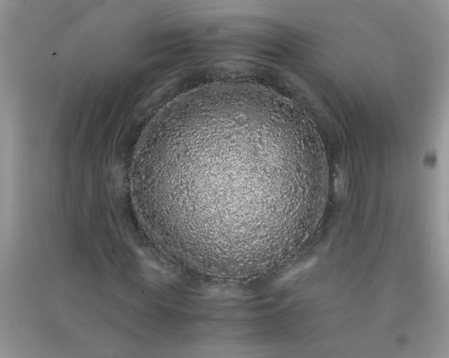 X0000090990819200708161915