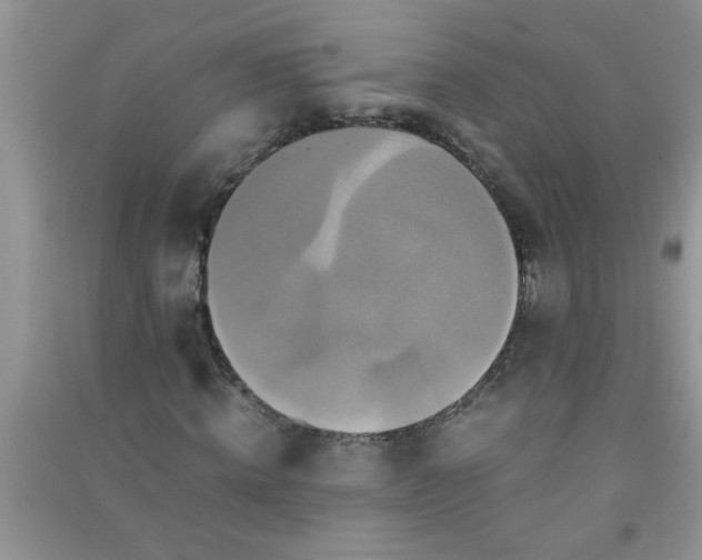 X0000090990820200708161915