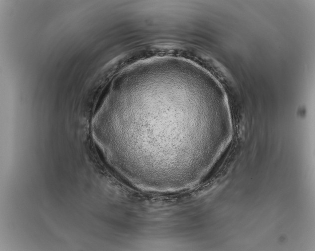 X0000090990821200708161915