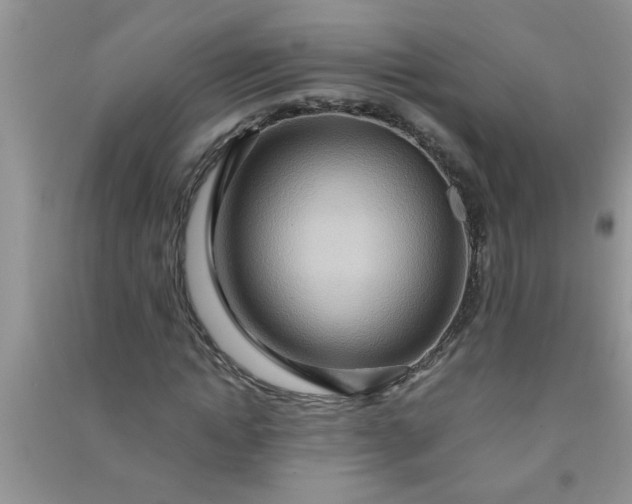 X0000090990822200708161915
