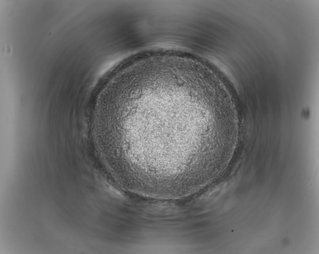 X0000090990823200708161915