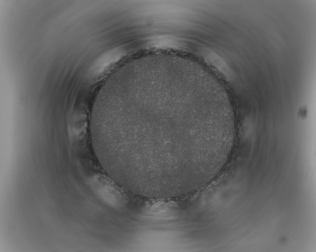 X0000090990824200708161915