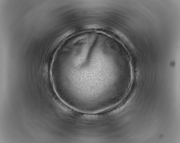 X0000090990825200708161915