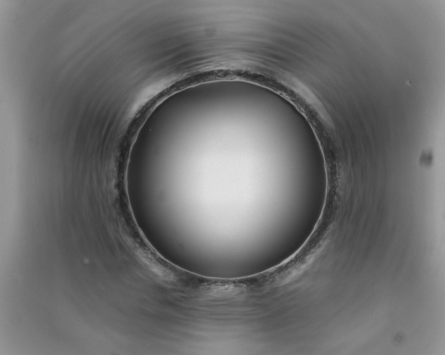 X0000090990826200708161915