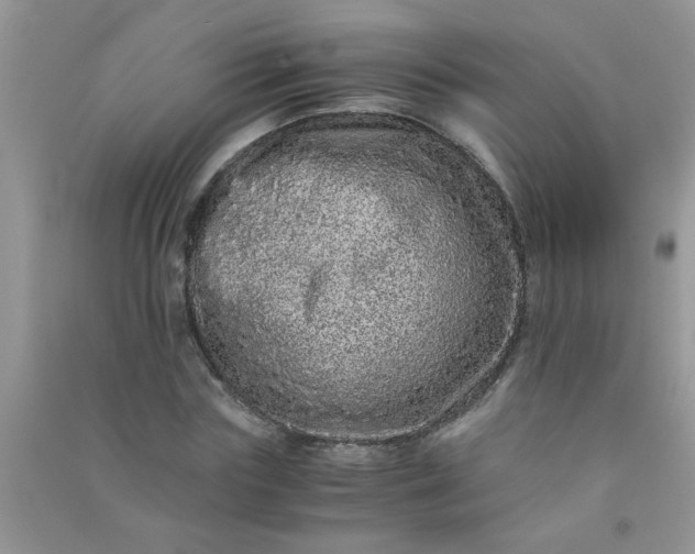 X0000090990827200708161915