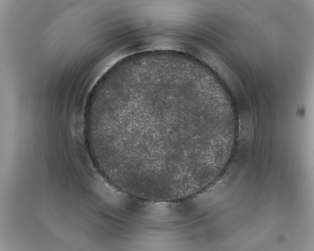 X0000090990828200708161915
