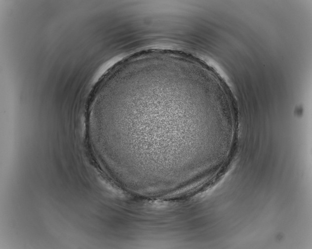 X0000090990829200708161915