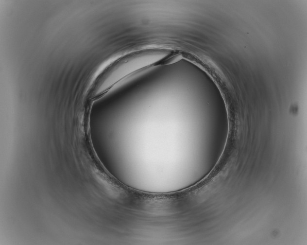 X0000090990830200708161915