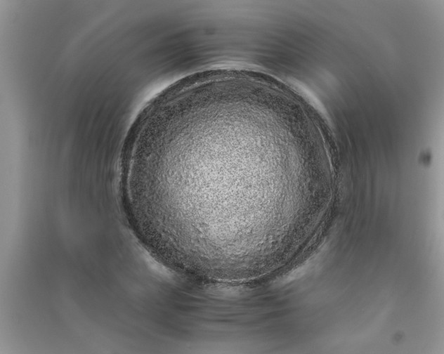X0000090990831200708161915