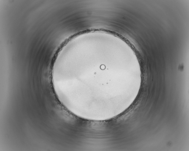 X0000090990832200708161915