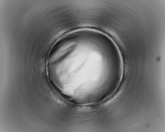 X0000090990833200708161915
