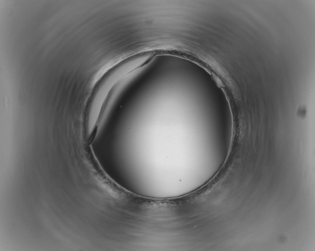 X0000090990834200708161915