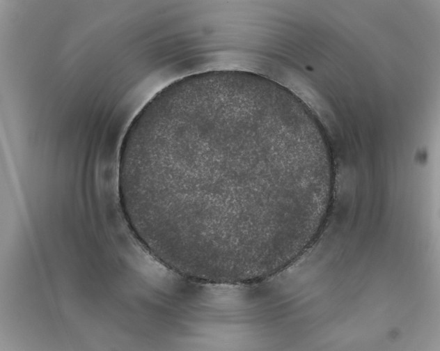 X0000090990836200708161915