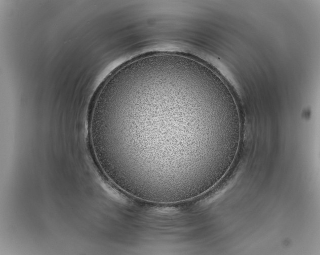 X0000090990837200708161915