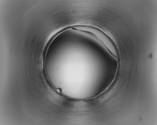 X0000090990838200708161915