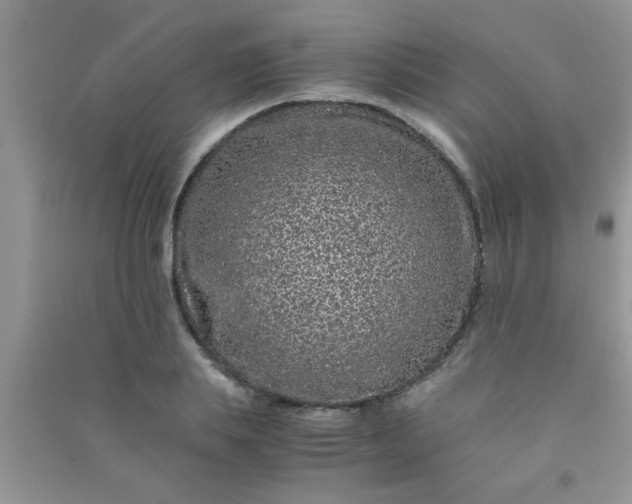 X0000090990839200708161915
