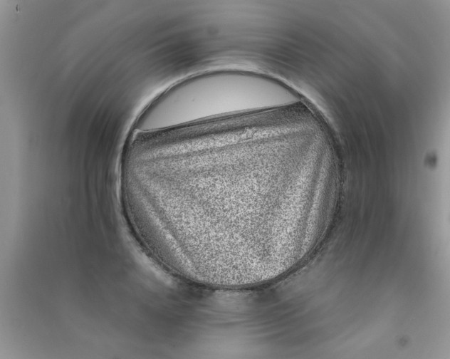 X0000090990840200708161915