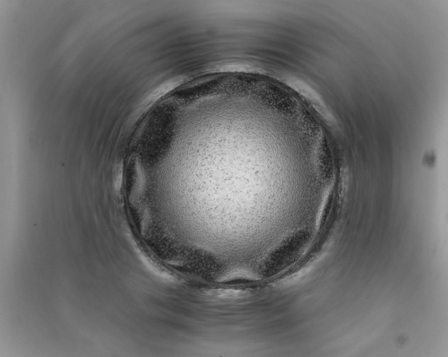 X0000090990841200708161915