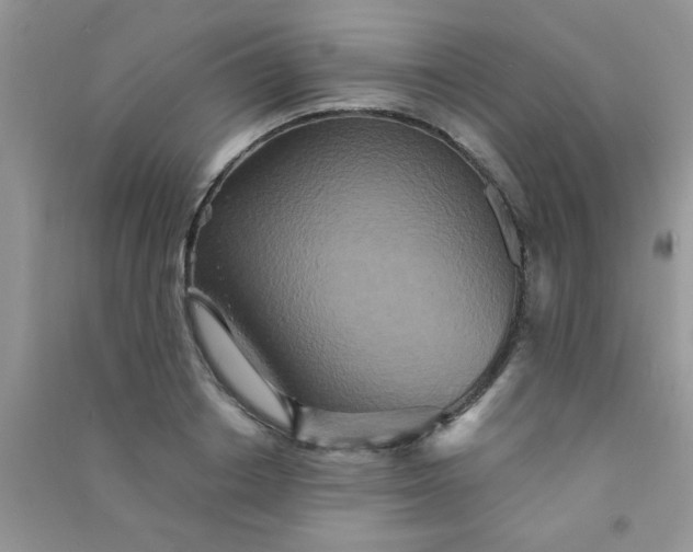 X0000090990842200708161915