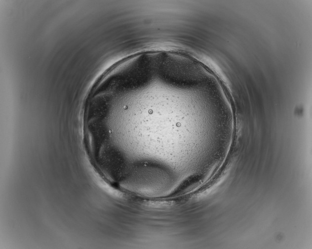 X0000090990843200708161915