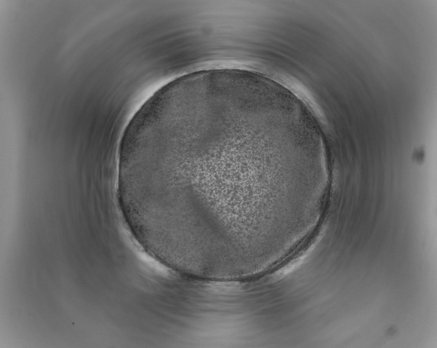 X0000090990844200708161915