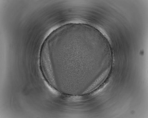 X0000090990845200708161915