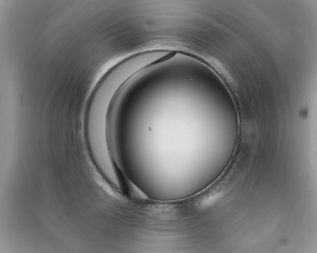 X0000090990846200708161915