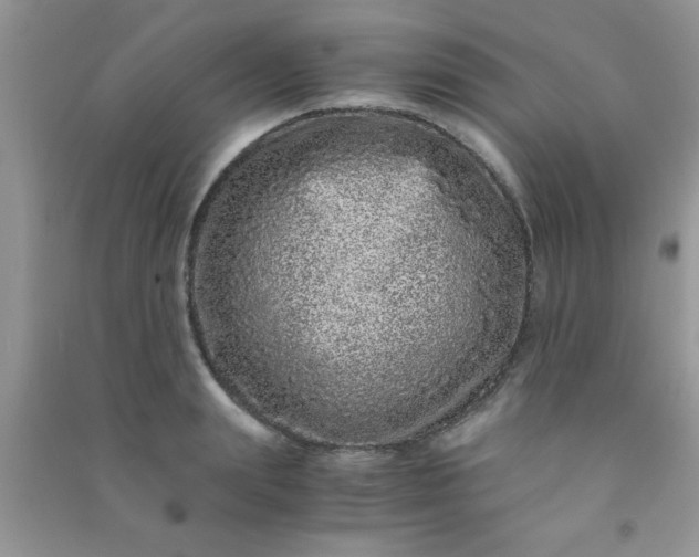 X0000090990847200708161915