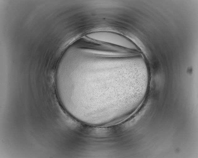 X0000090990849200708161915