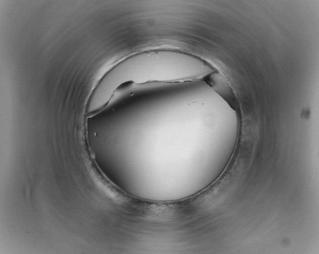 X0000090990850200708161915