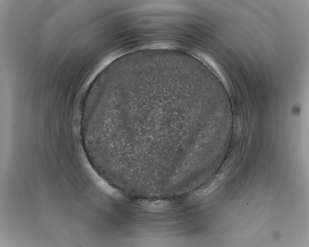 X0000090990851200708161915