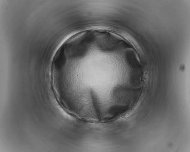 X0000090990852200708161915