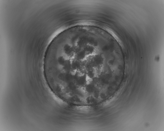 X0000090990853200708161915