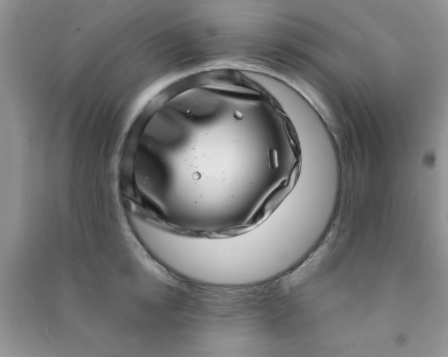 X0000090990854200708161915