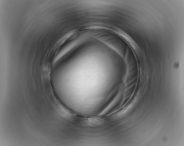 X0000090990857200708161915