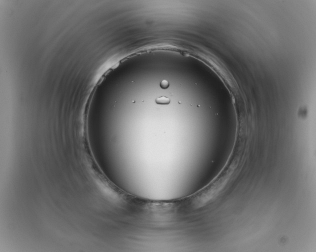 X0000090990858200708161915