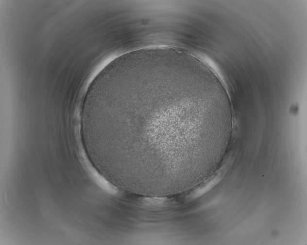 X0000090990859200708161915