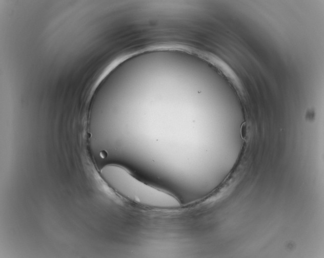 X0000090990860200708161915