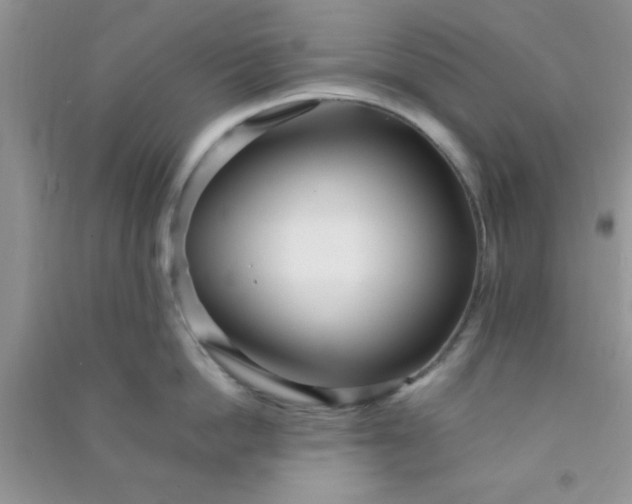 X0000090990862200708161916