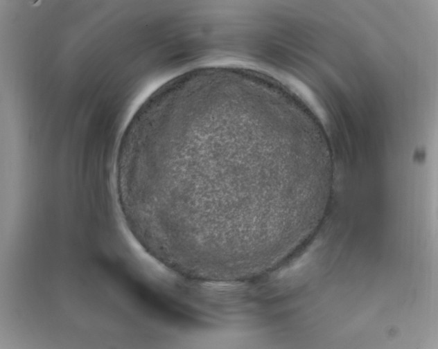 X0000090990863200708161916