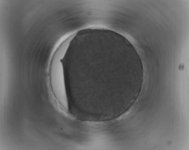 X0000090990864200708161916