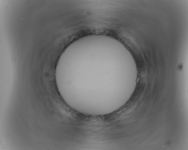 X0000090990865200708161915