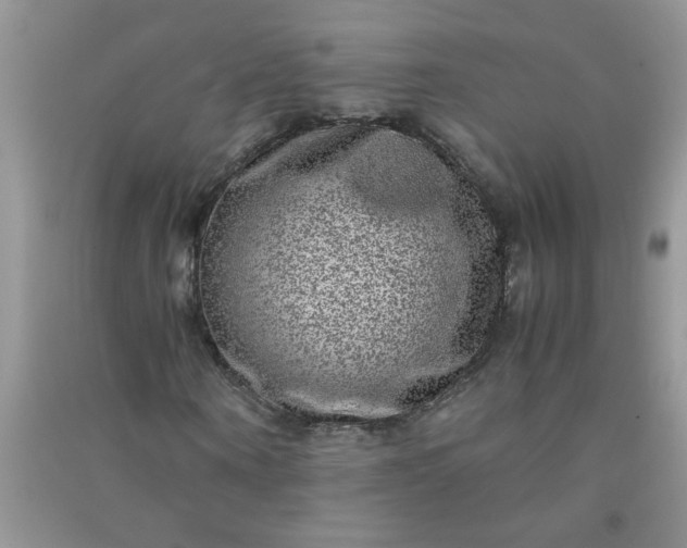 X0000090990866200708161915