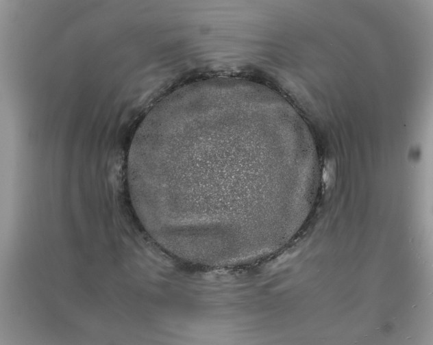 X0000090990867200708161915