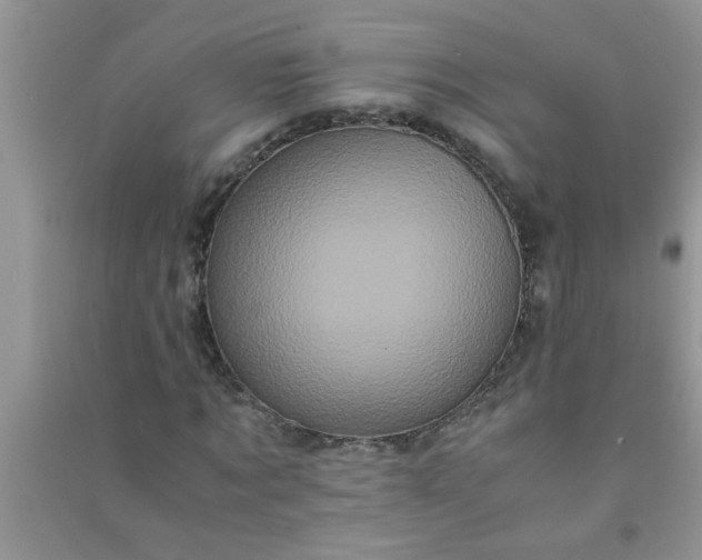 X0000090990869200708161915