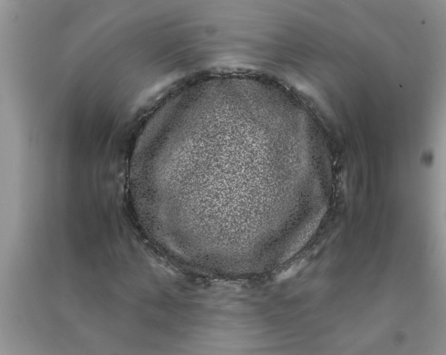 X0000090990870200708161915