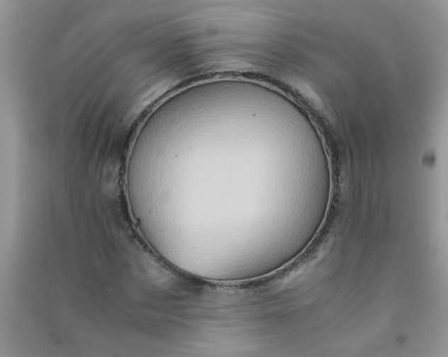 X0000090990873200708161915