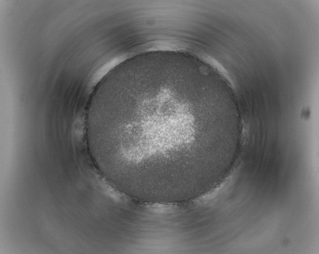 X0000090990874200708161915