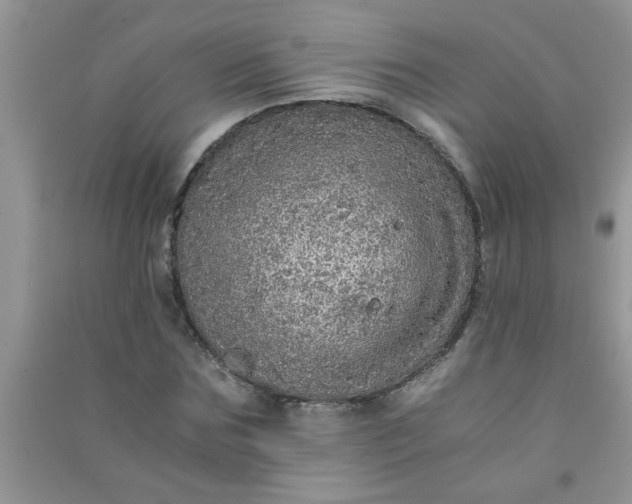 X0000090990875200708161915