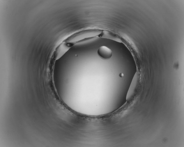 X0000090990876200708161915